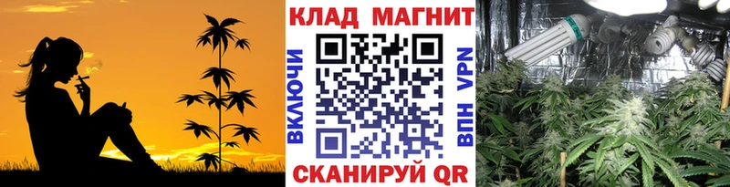 Купить наркотики цена Туймазы Бошки Шишки АМФЕТАМИН ГАШИШ Меф Alpha-PVP