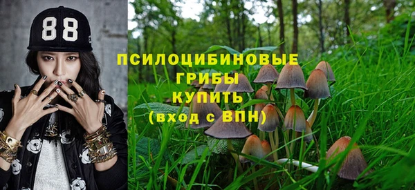 первитин Алексин