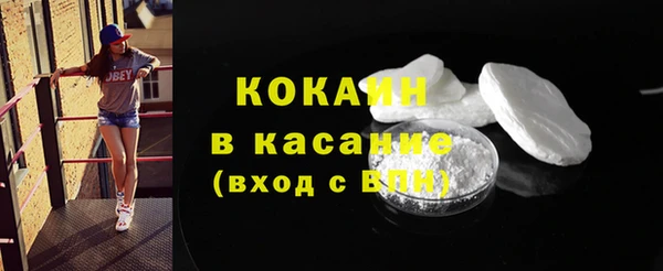 соль ск Алзамай