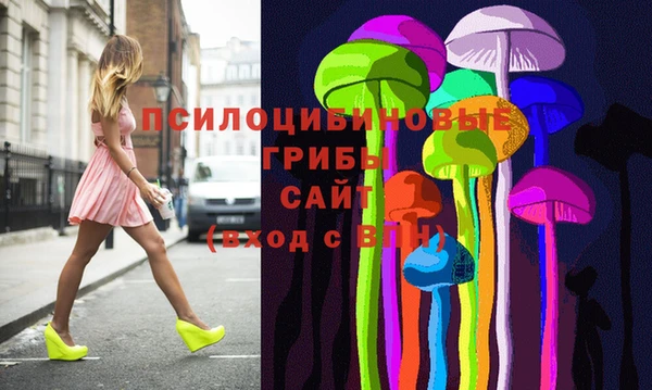 соль ск Алзамай